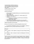 Sociología de los Negocios, Sección