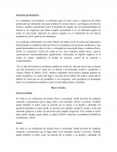 Ejemplo de un Marco Teórico.