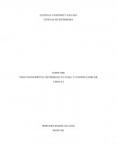 ENSAYO DESCRIPTIVO: DIVERSIDAD CULTURAL Y ENTORNO FAMILIAR