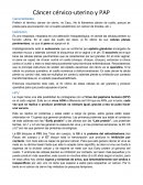 Cáncer cérvico-uterino y PAP