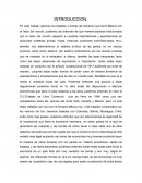 INTRODUCCION DR HEBER COMERCIO