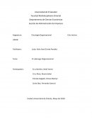 Liderazgo Organizacional