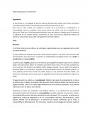 Resumen Public Bureaucracies