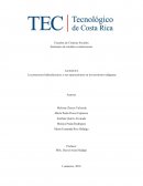 Ensayo Los proyectos hidroeléctricos y sus repercusiones en los territorios indígenas