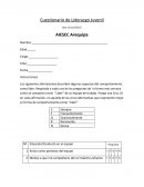 Cuestionario de liderazgo juvenil