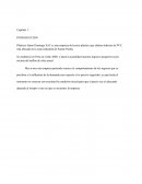 APLICACIÓN DEL CÁLCULO DIFERENCIAL A LOS GASTOS E INGRESOS MENSUALES DE LA EMPRESA DE PLÁSTICOS SANTO DOMINGO S.A.C.