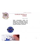 Tabla comparativa de Sistemas de Calidad