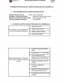 INFORME DE PRÁCTICAS DEL CURSO DE PSICOLOGÍA DEL DESARROLLO