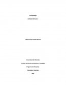 FUNCIONES DE LA ANTROPOLOGIA