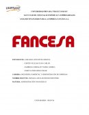 ANÁLISIS FINANCIERO PARA LA EMPRESA FANCESA S.A