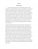 Control 1 historia andina