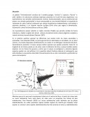 La palabra “Echinodermata”