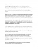 La caza furtiva y el tráfico ilegal de animales