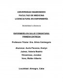 ENFERMERÍA EN SALUD COMUNITARIA
