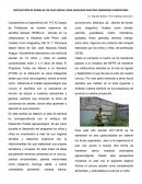 Manos a la siembra Experiencia Semilla.