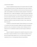 Causas del Rio sabinal