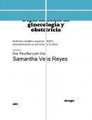 Cuerpo del trabajo ¿Qué es la ginecología y la obstetricia?