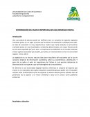 DETERMINACIÓN DEL VALOR DE IMPORTANCIA DE UNA COMUNIDAD VEGETAL