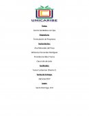 Formulacion de Un Proyecto (Salon de Belleza)