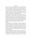 Ensayo biologia. La evolución de las especies