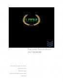 Programacion Orientada Objetos