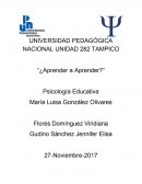 El estudio de la sociologia