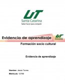 Evidencia de aprendizaje. Concepto Descripción