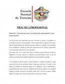 Práctica profesional, dimensiones docentes