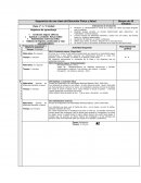 Planificacion Educacion Física