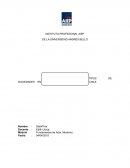 Tipos de Sociedades en Chile