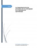 La importancia de los principios de la andragogía