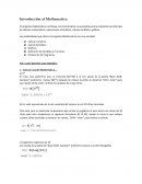 Practica de Mathematica
