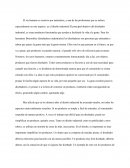 Resumen "objectified"