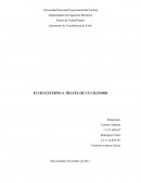 FLUJO EXTERNO A TRAVÉS DE UN CILINDRO