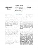 Palta: El Dios Seth de Petorca