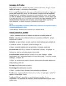 Concepto de Prueba