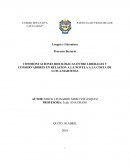 CONFRONTACIONES IDEOLOGICAS ENTRE LIBERALES Y CONSERVADORES EN RELACION A LA NOVELA A LA COSTA DE LUIS A.MARTINEZ