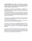 Los gránulos de BonAlive