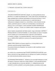 AMPARO DIRECTO LABORAL. Página 1
