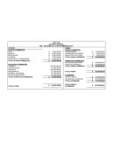 Balance general y estado de resultados