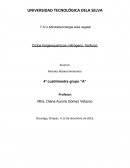 Propiedades del METANO (configuración electrónica)