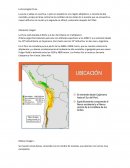 La Ecorregión Puna