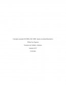 Identificacion estructura organizacional