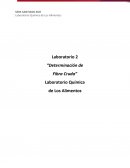 Laboratorio 2 “Determinación de Fibra Cruda” Laboratorio Química de Los Alimentos