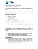 INFORME FINAL PRACTICAS PROFESIONALES