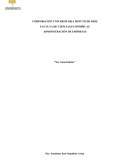 Ensayo economia mixta