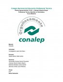 Investigación sobre Karl Marx.