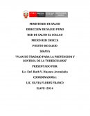 Plan de trabajo para la prevencion y control de la tuberculosis