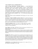 CARACTERISTICAS DE LAS HERRAMIENTAS