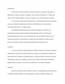 Plan de acción para abatir las consecuencias negativas del fenómeno conocido como cambio climático